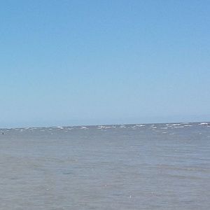 Meet your Posher, Lily